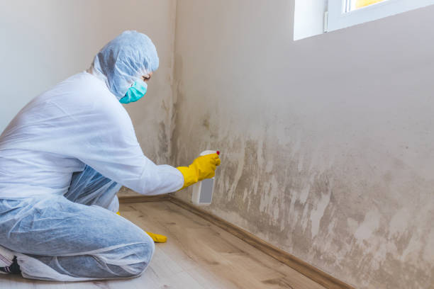 Licensed Mold Testing service in Wingate, NC - WQB Mold Removal