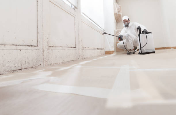 24/7 Emergency Mold Testing experts in Wingate, NC