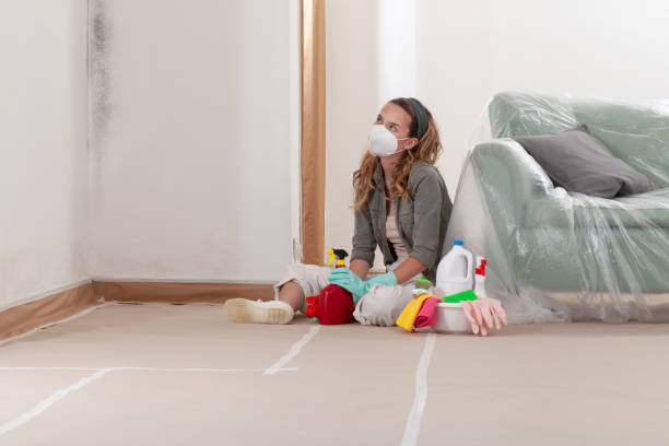 Reliable Mold Testing contractor in Wingate, NC by WQB Mold Removal