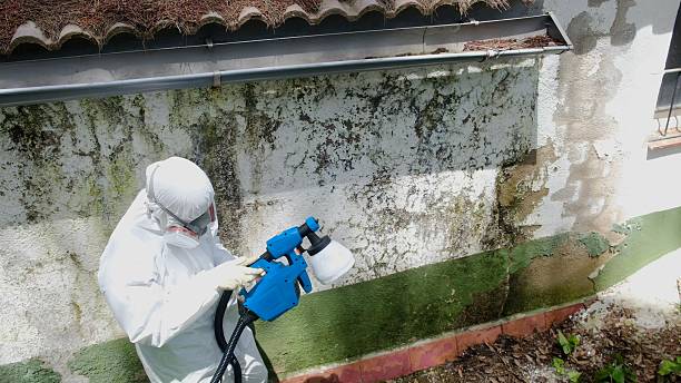 Top rated local Mold Testing specialists in Wingate, NC